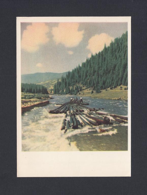 Почтовая Карточка 1955г. Закарпатье. Сплав леса по реке